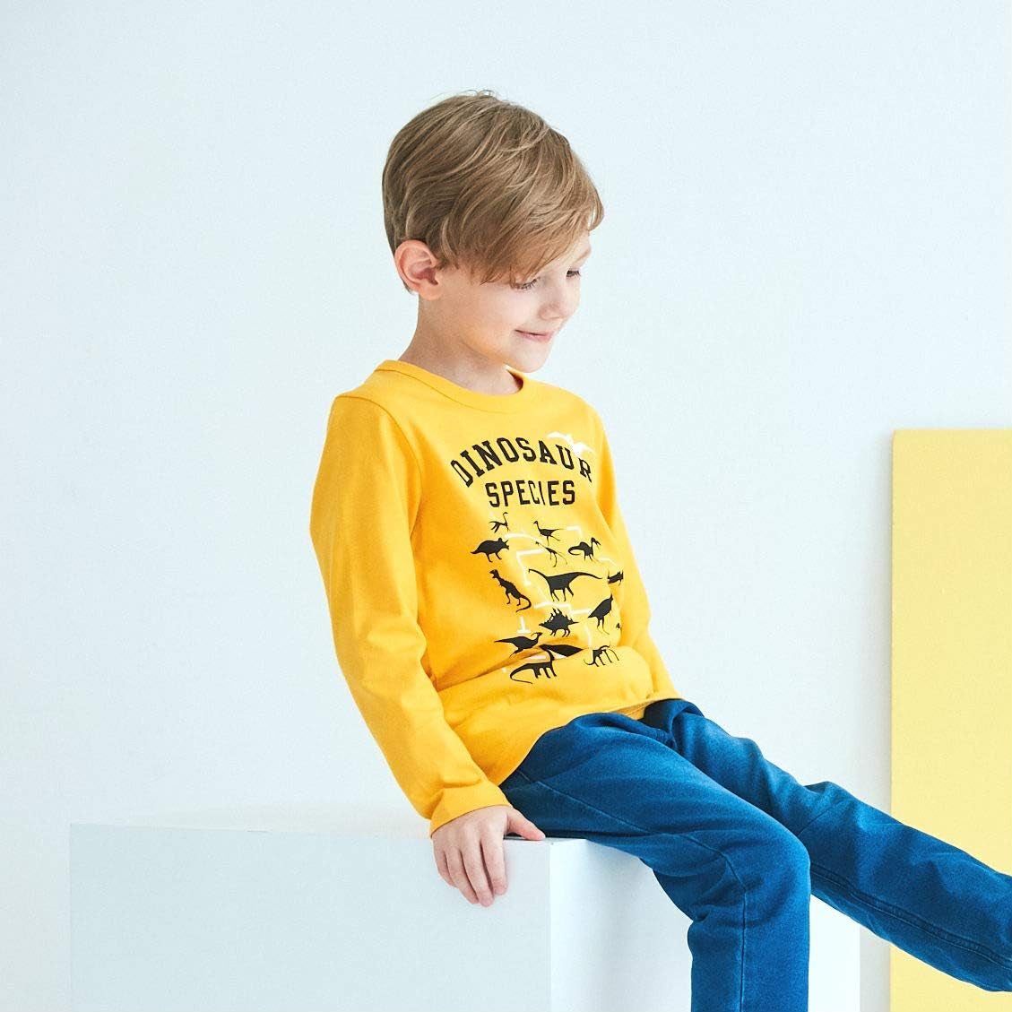 Boys Cotton Long Sleeve T-Shirts T Rex Dinosaur Shirt Graphic Tees