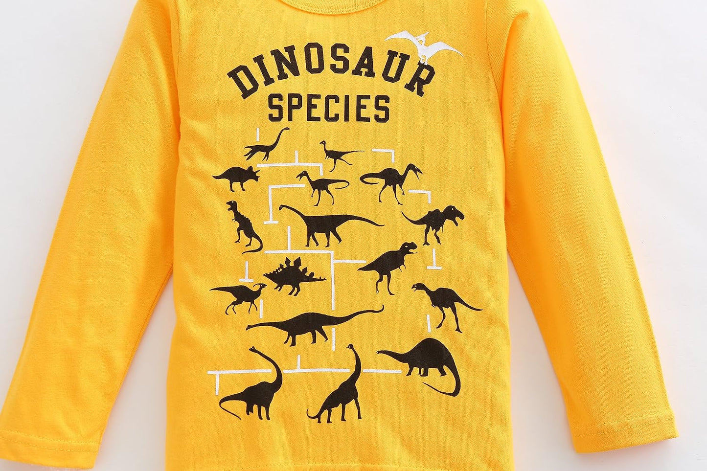 Boys Cotton Long Sleeve T-Shirts T Rex Dinosaur Shirt Graphic Tees