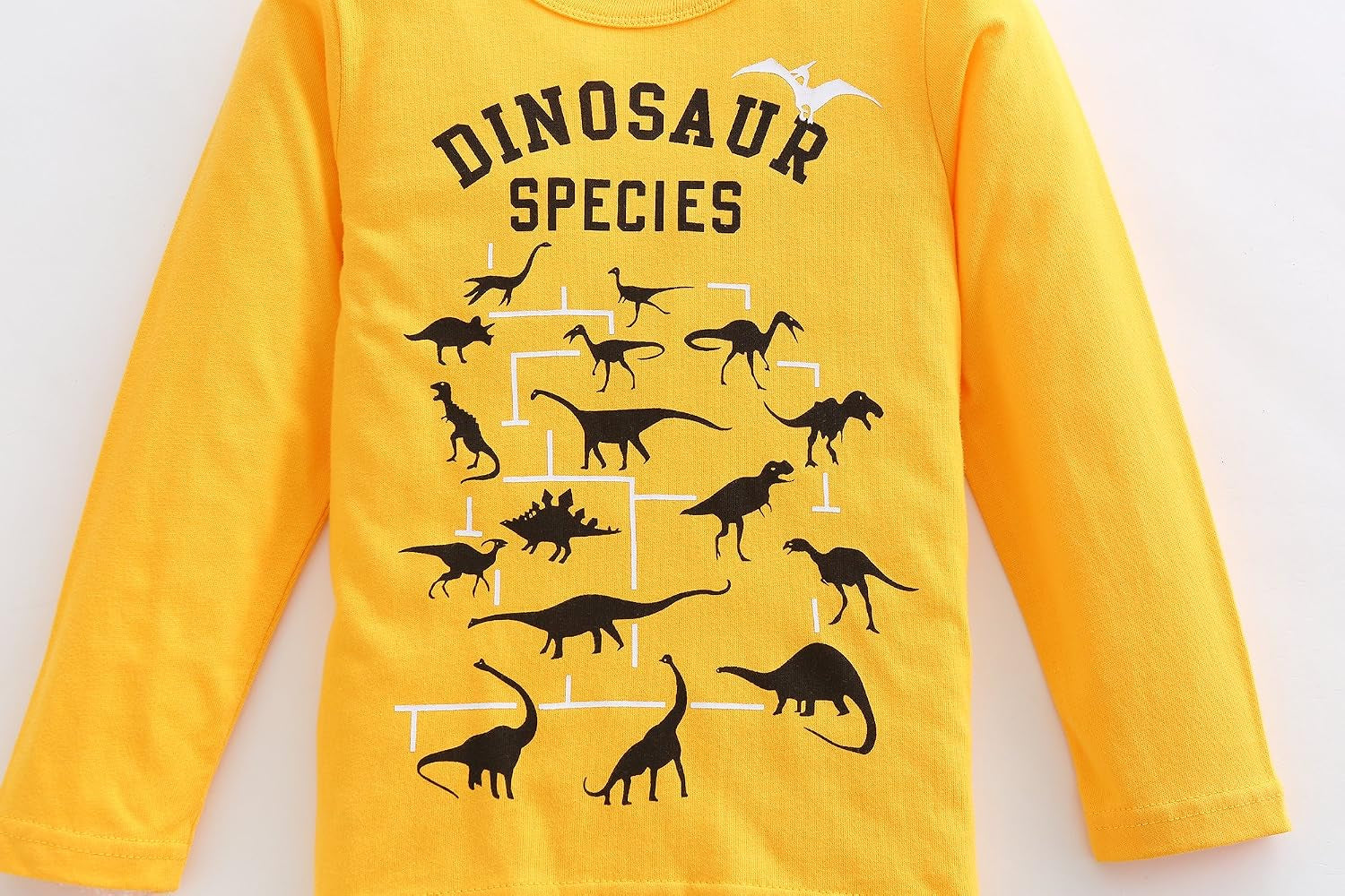 Boys Cotton Long Sleeve T-Shirts T Rex Dinosaur Shirt Graphic Tees