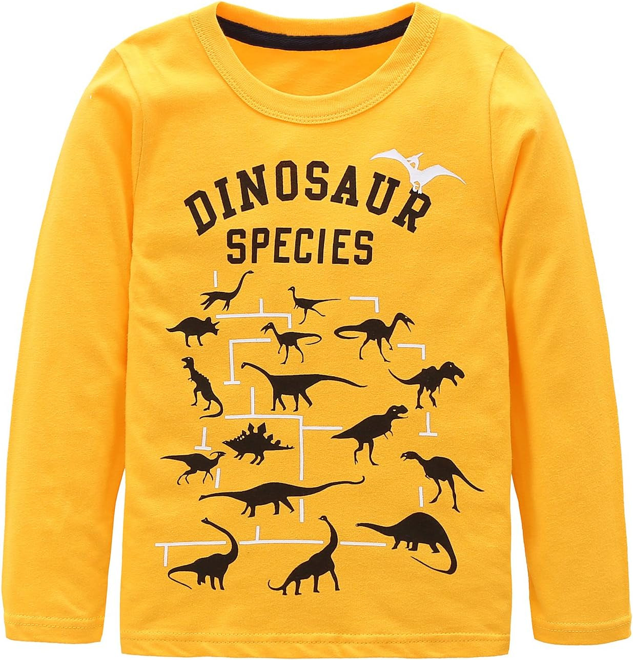 Boys Cotton Long Sleeve T-Shirts T Rex Dinosaur Shirt Graphic Tees