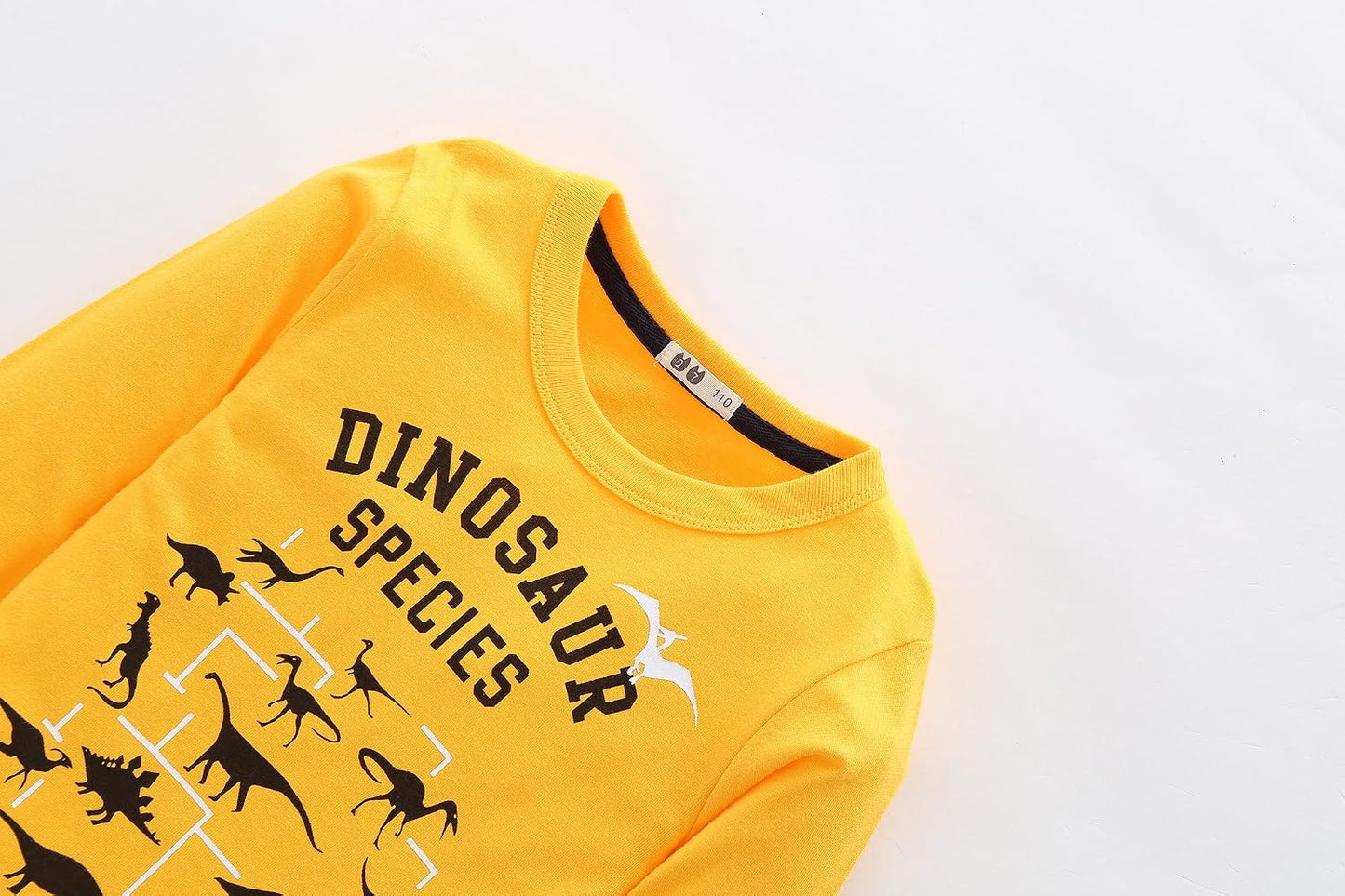Boys Cotton Long Sleeve T-Shirts T Rex Dinosaur Shirt Graphic Tees
